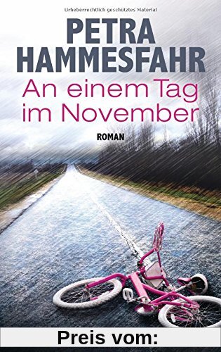An einem Tag im November: Roman